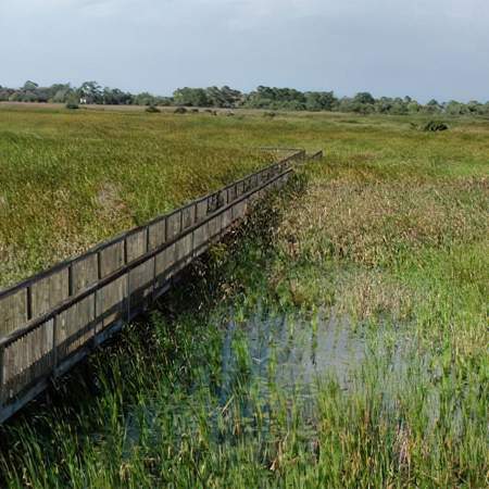 [caption: Habitat</br />Management] Habitat Management