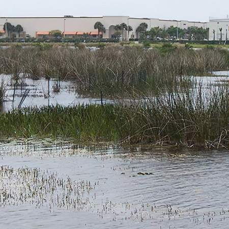 [caption: Wetlands</br />Compliance] Wetlands Compliance