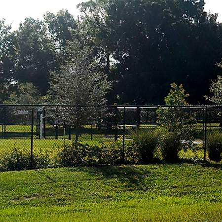 [caption: Dogs</br />For Life] Dogs For Life