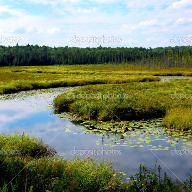 Environmental</br / / />Consulting